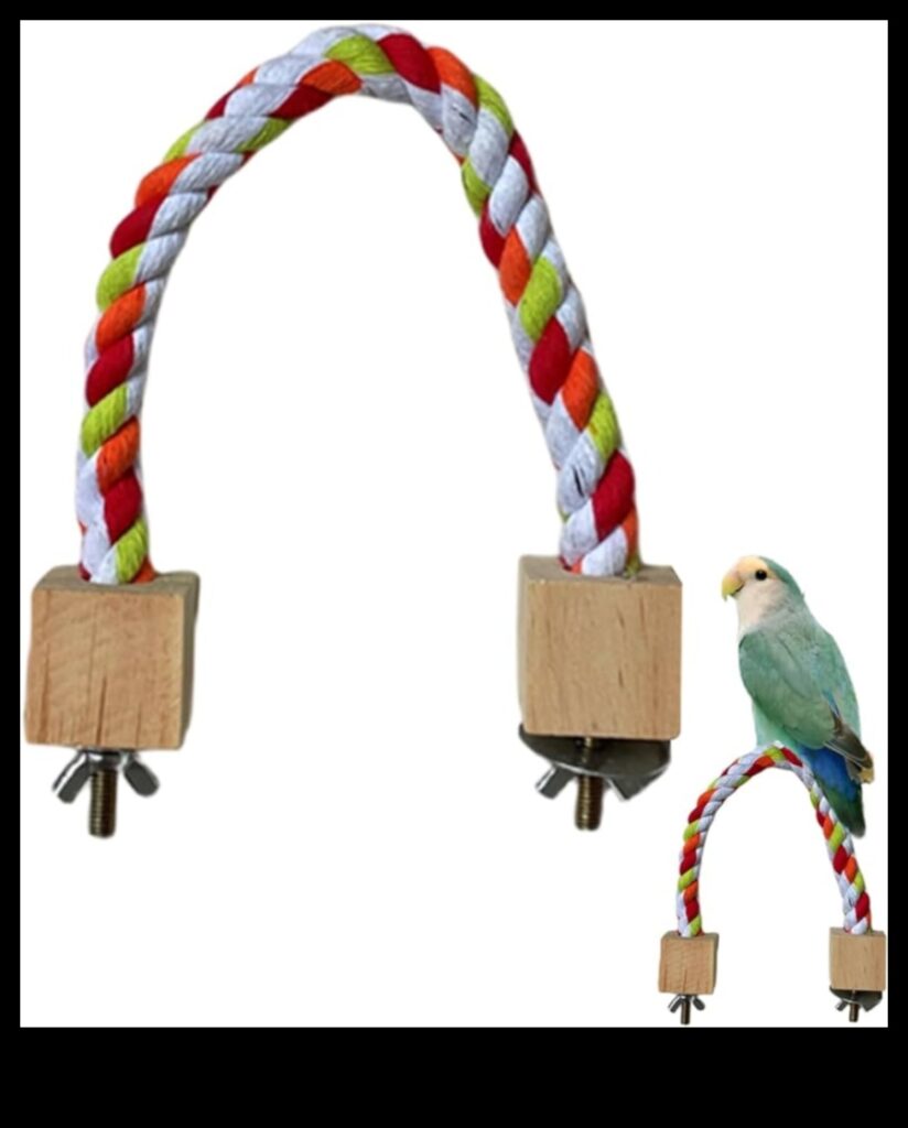 DIY Bird Perches Crafting Comfortable Resting Spots for Your Avian Friends 1