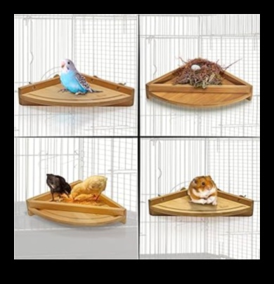 DIY Bird Perches: Crafting Comfortable Resting Spots for Your Avian Friends