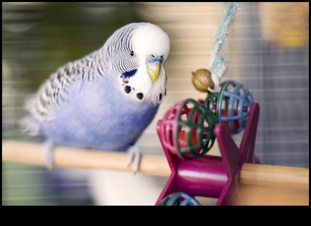 DIY Bird Toys Enrichment Activities for Your Feathered Friends 1