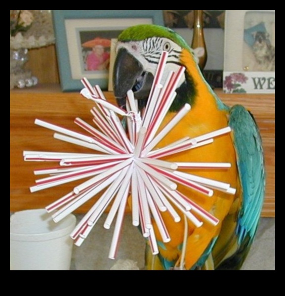 DIY Bird Toys: Enrichment Activities for Your Feathered Friends