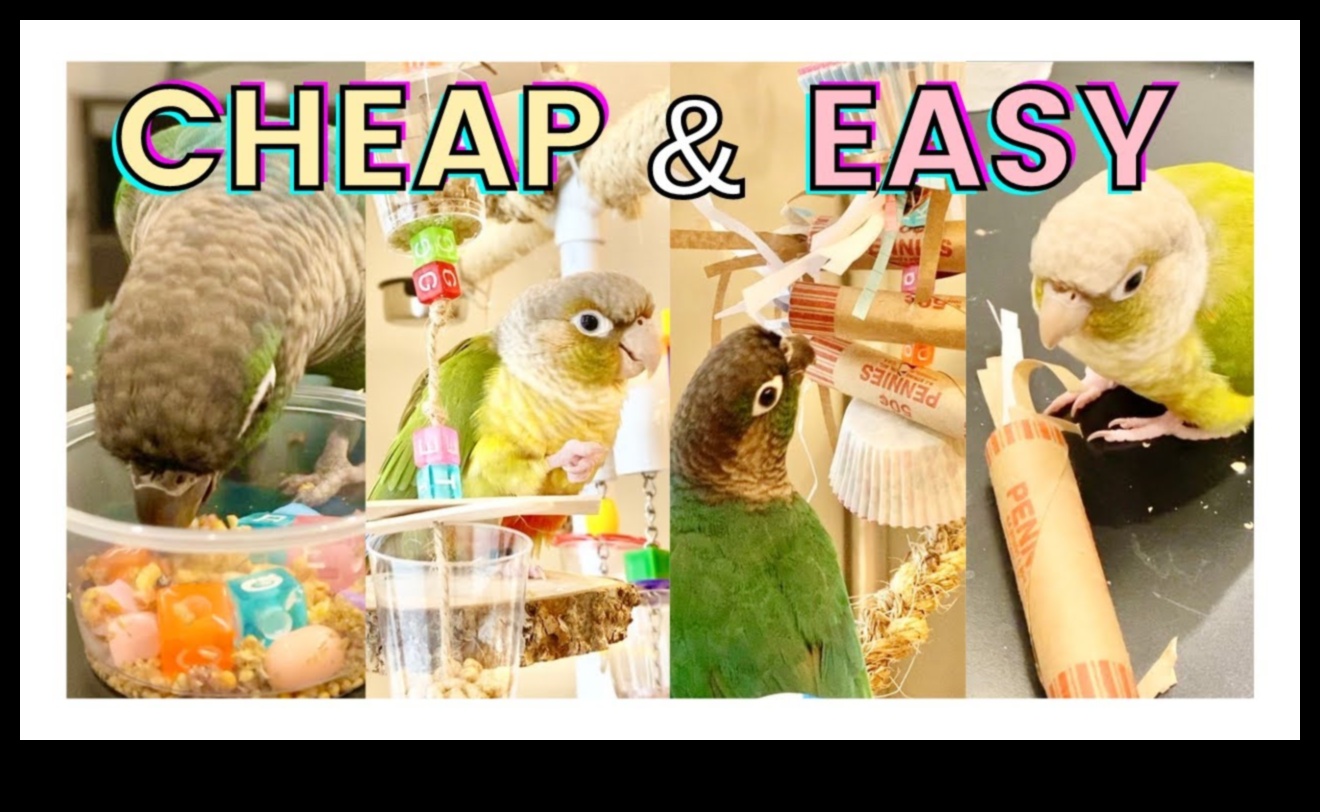 DIY Bird Toys: Enrichment Activities for Your Feathered Friends