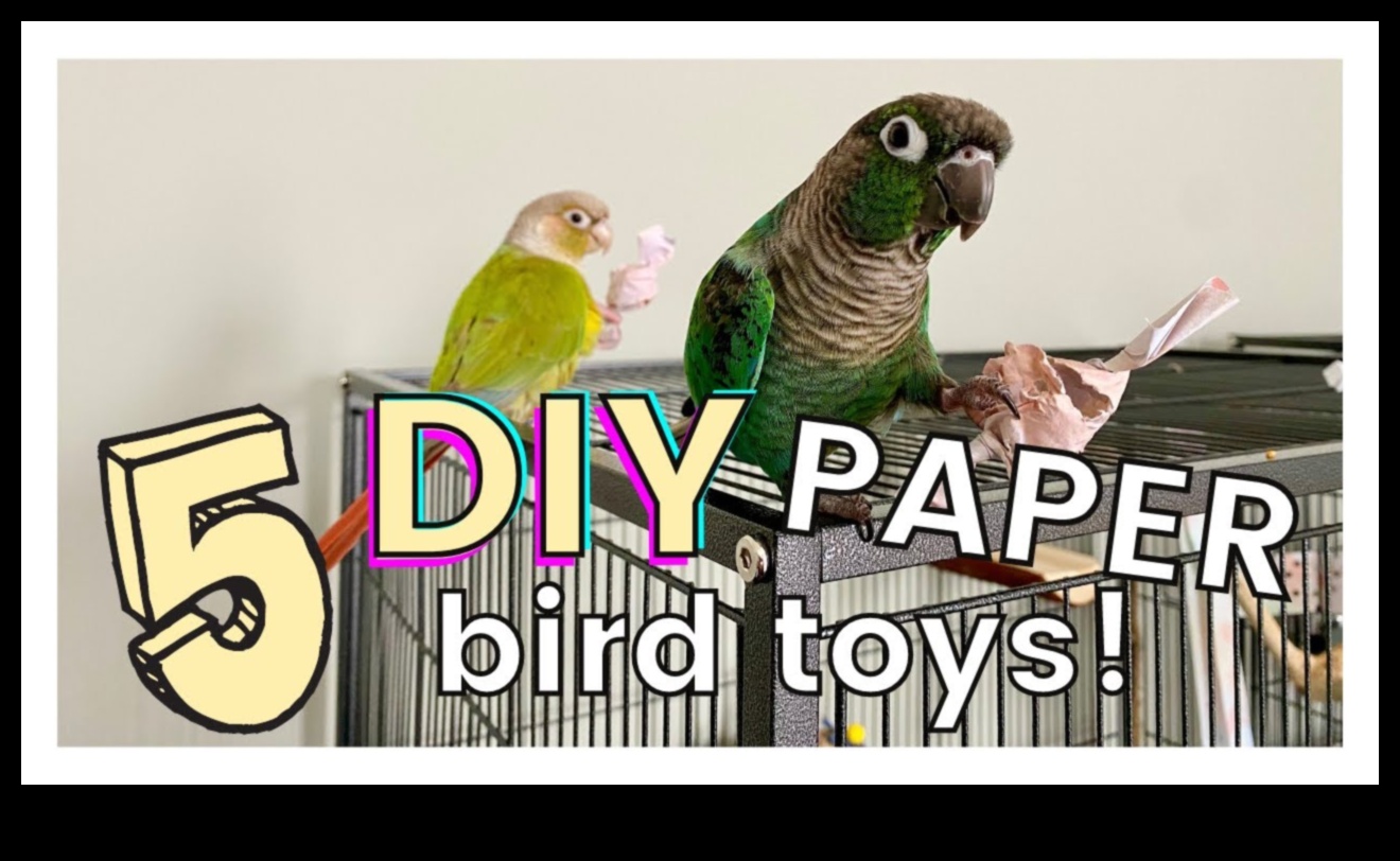 DIY Bird Toys: Enrichment Activities for Your Feathered Friends