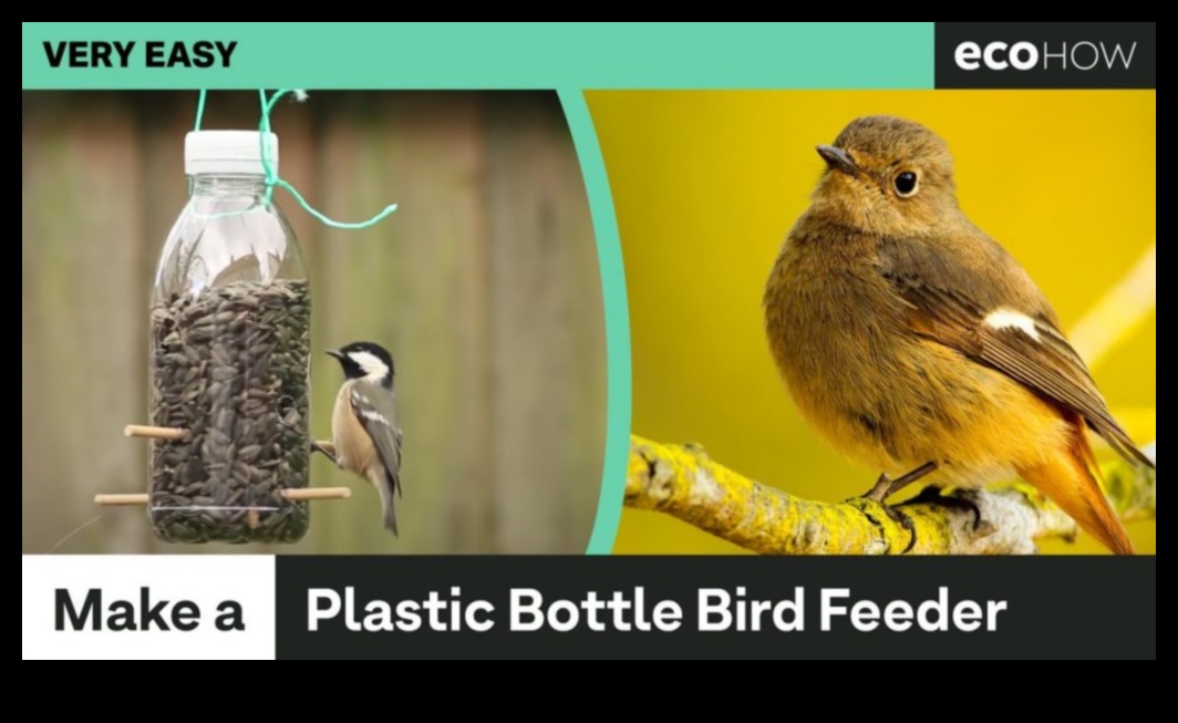 DIY Birding: Creating Homemade Feeders and Attracting Local Birds