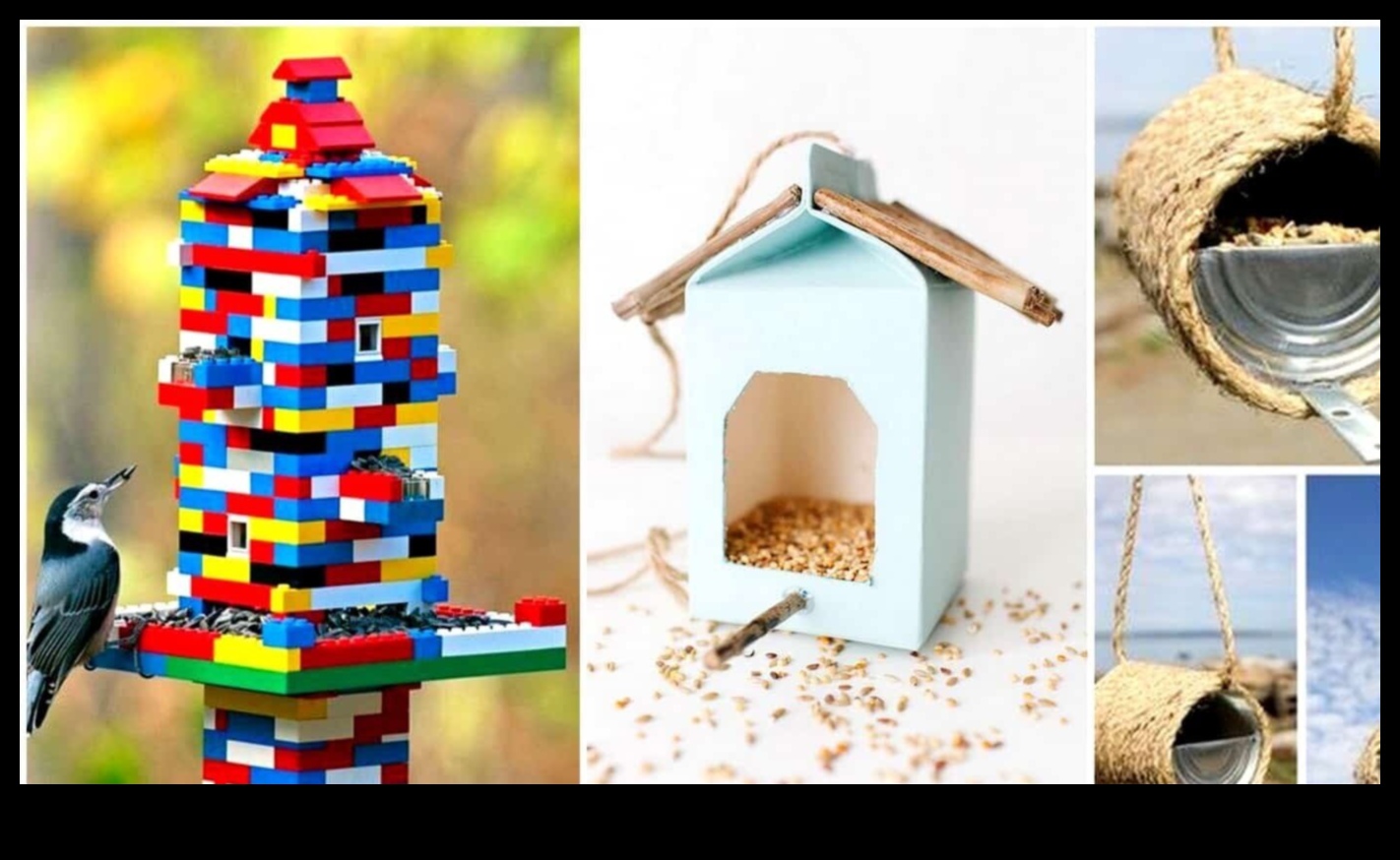 DIY Birding: Creating Homemade Feeders and Attracting Local Birds