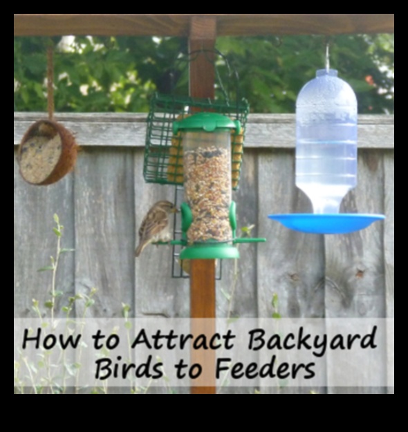 DIY Birding: Creating Homemade Feeders and Attracting Local Birds