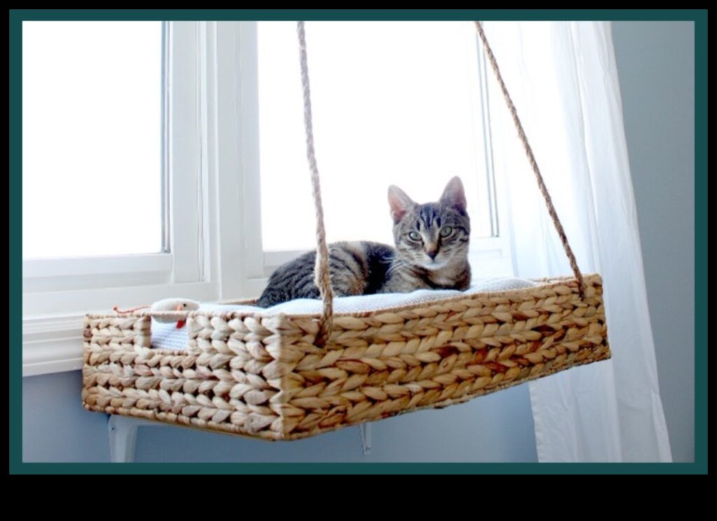 DIY Cat Beds Creating Comfortable Sleeping Spaces for Your Cat 1