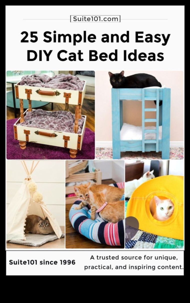 DIY Cat Beds: Creating Comfortable Sleeping Spaces for Your Cat
