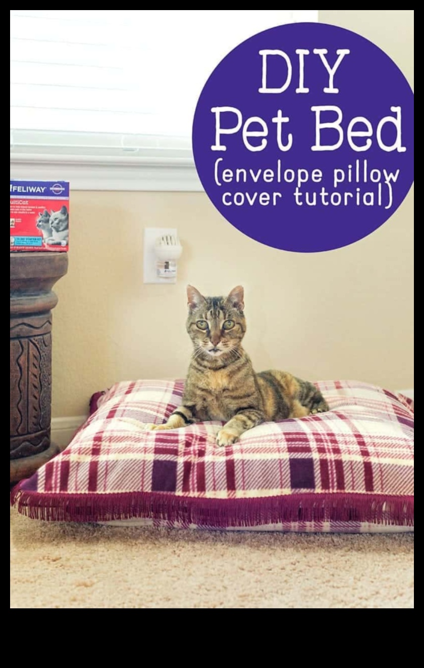 DIY Cat Beds: Creating Comfortable Sleeping Spaces for Your Cat