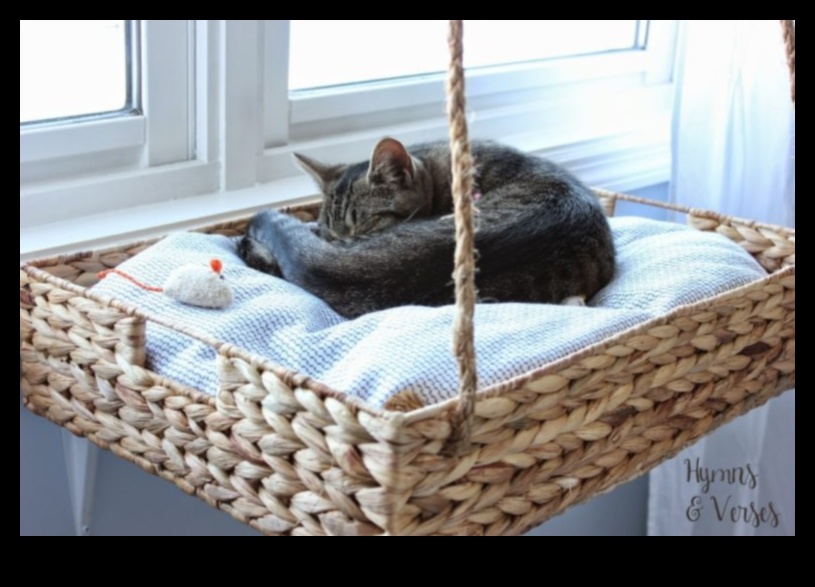 DIY Cat Beds: Creating Comfortable Sleeping Spaces for Your Cat