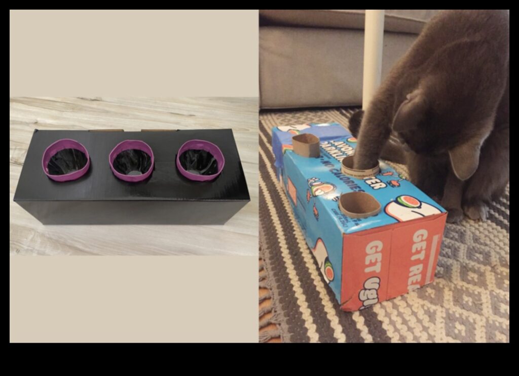 DIY Cat Enrichment Stimulating Activities for a Happy Cat 1