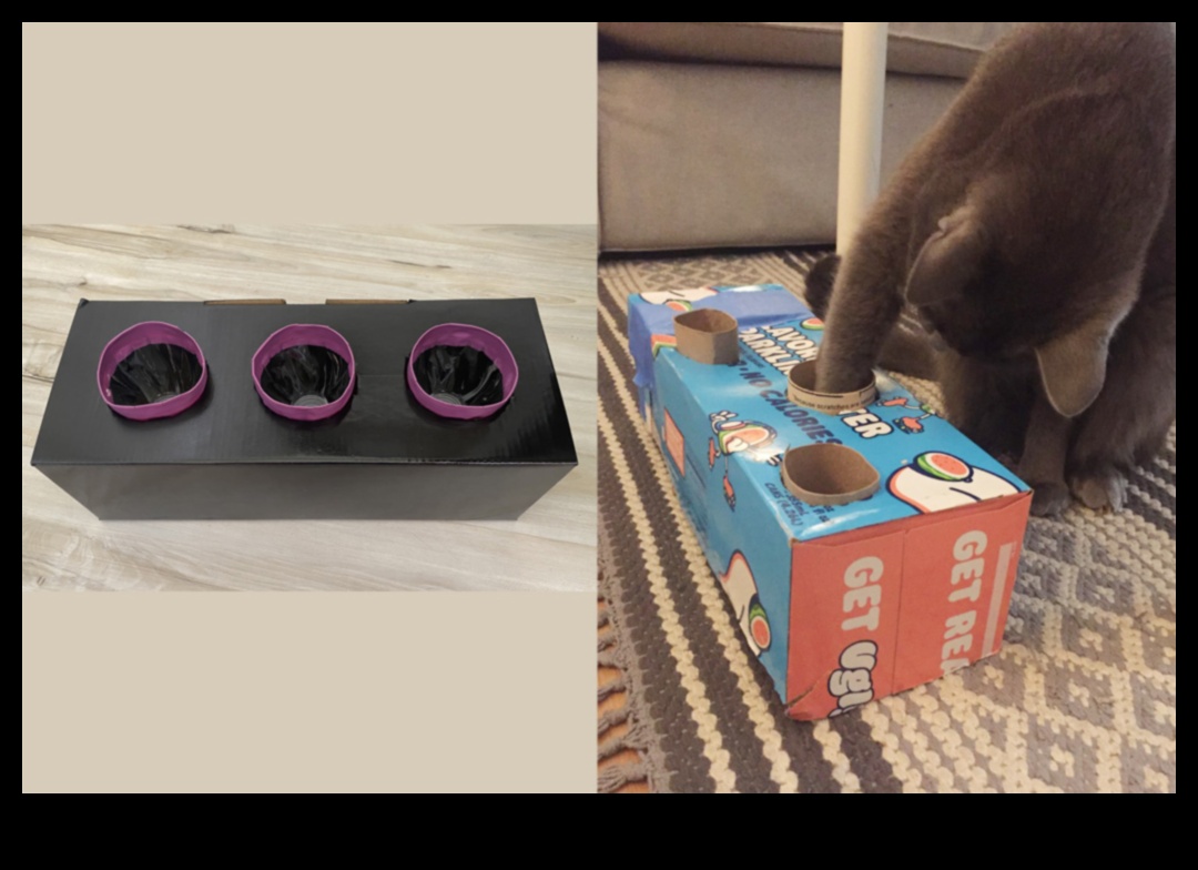 DIY Cat Enrichment: Stimulating Activities for a Happy Cat