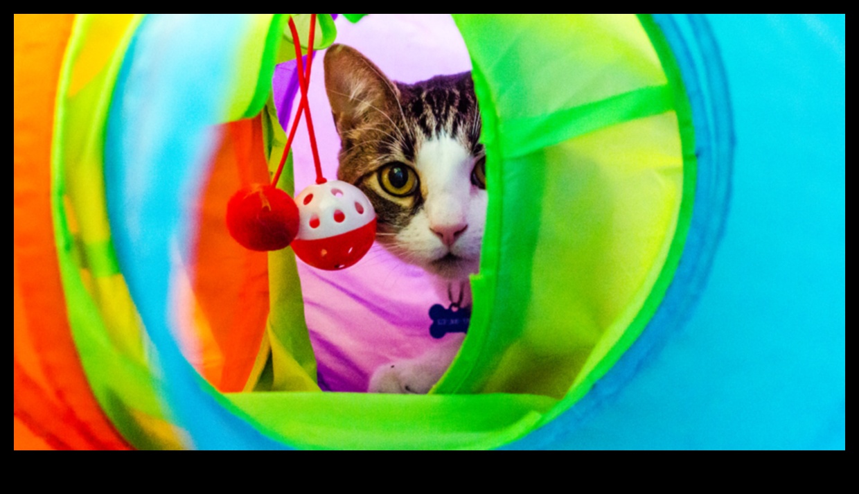 DIY Cat Enrichment: Stimulating Activities for a Happy Cat