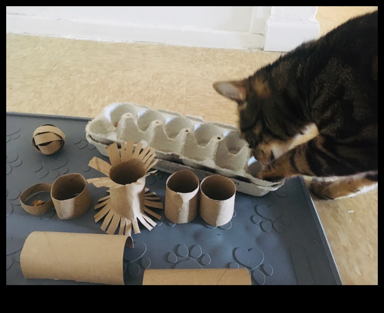DIY Cat Enrichment: Stimulating Activities for a Happy Cat