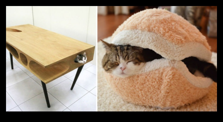 DIY Cat Furniture Continued: Stylish and Creative Designs for Your Cat