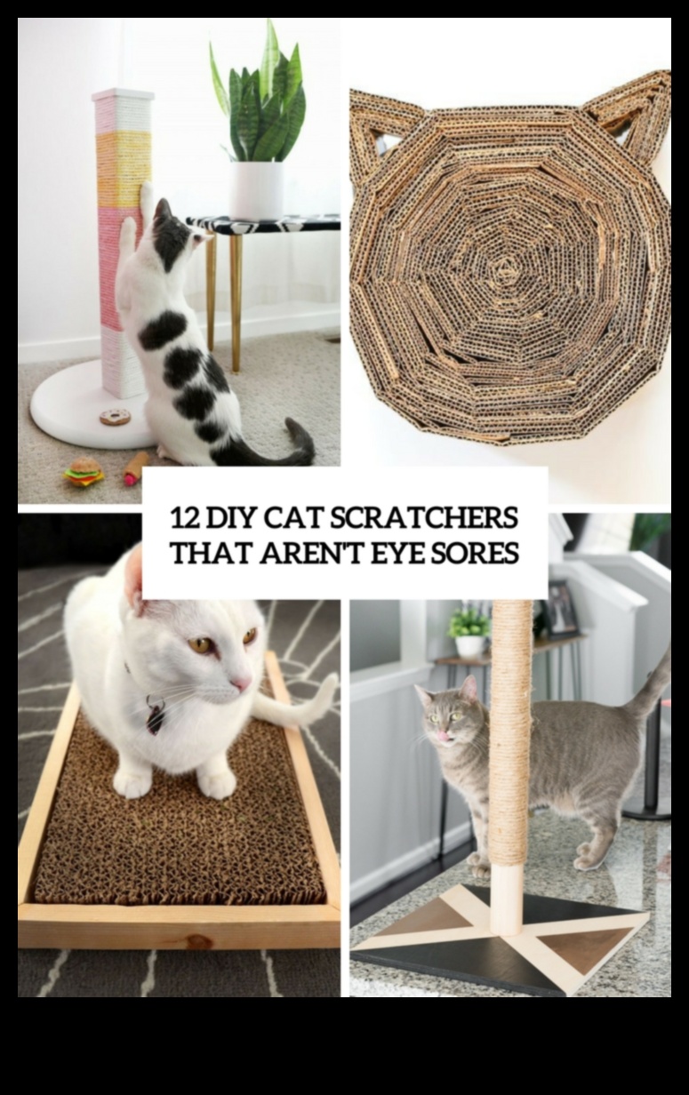 DIY Cat Furniture Continued: Stylish and Creative Designs for Your Cat