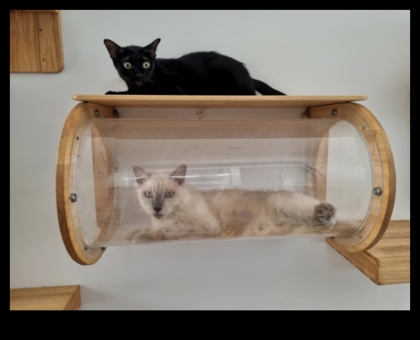 DIY Cat Furniture Continued: Stylish and Creative Designs for Your Cat