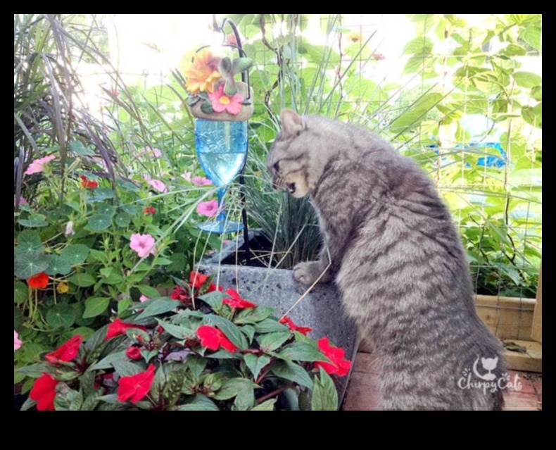 DIY Cat Gardens: Creating Safe and Enriching Outdoor Spaces