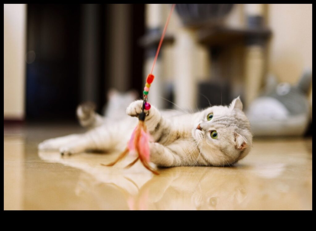 DIY Cat Toys Continued Crafting Innovative Playthings for Entertainment 1