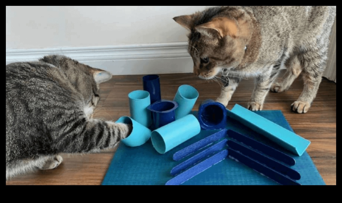 DIY Cat Toys Continued: Crafting Innovative Playthings for Entertainment