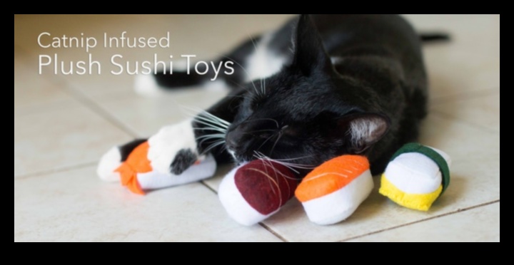 DIY Cat Toys Continued: Crafting Innovative Playthings for Entertainment