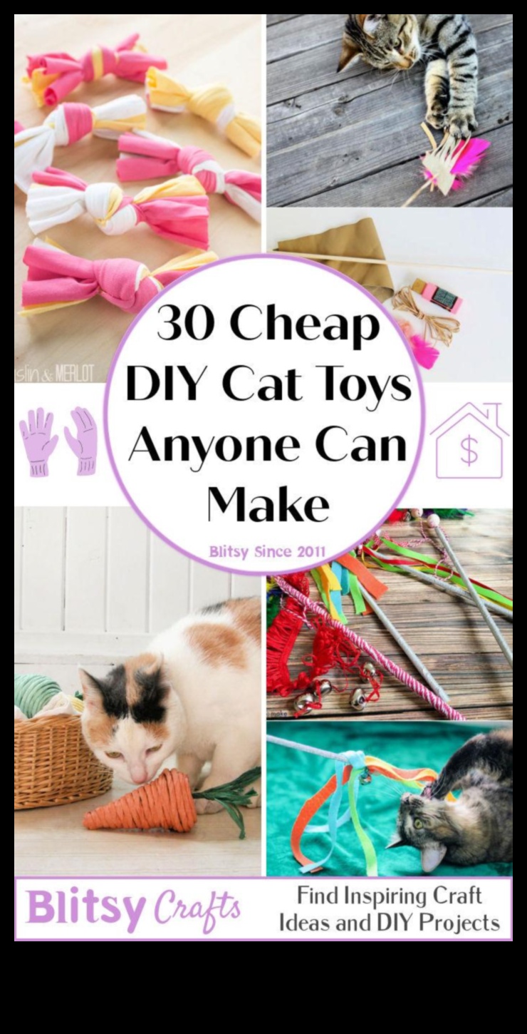 DIY Cat Toys Crafting Playful and Interactive Entertainment 5 DIY Cat Toys: Crafting Playful and Interactive Entertainment