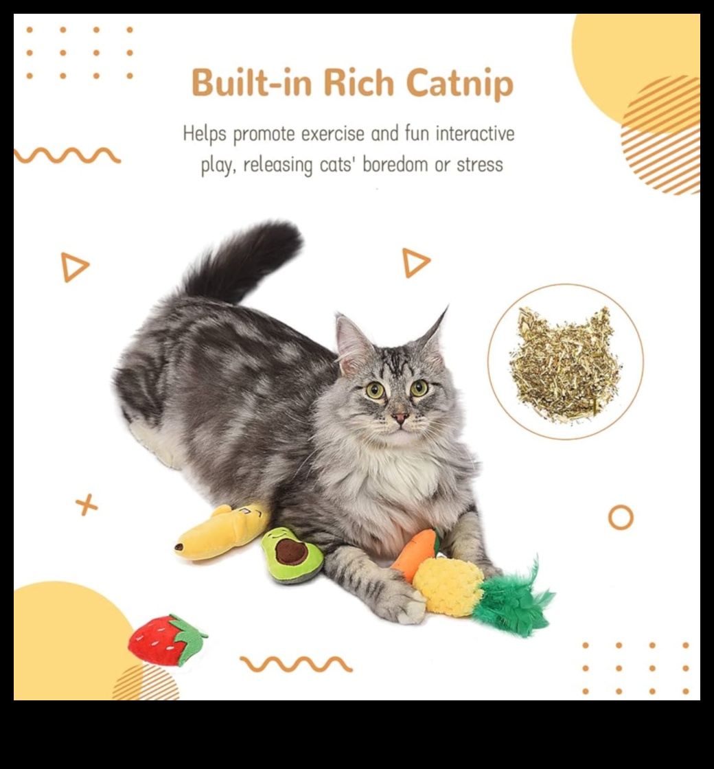 DIY Catnip Toys Crafting Fun and Stimulating Playthings 2 DIY Catnip Toys: Crafting Fun and Stimulating Playthings