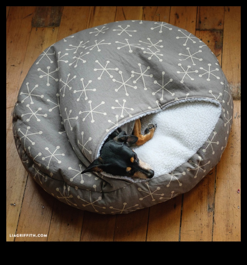 DIY Dog Beds: Creating Comfortable Sleeping Spaces for Your Pooch