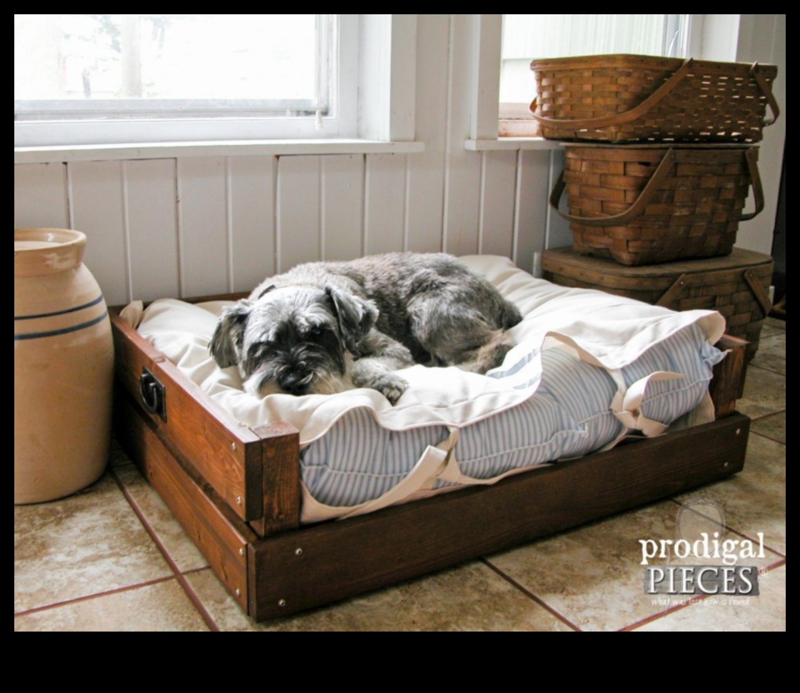 DIY Dog Beds: Creating Comfortable Sleeping Spaces for Your Pooch