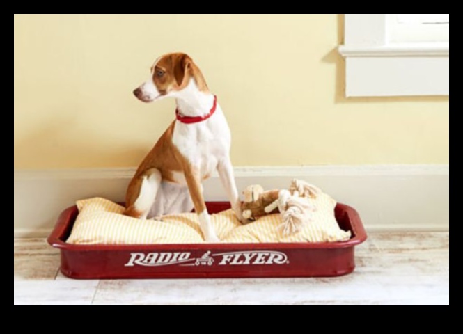 DIY Dog Beds: Creating Comfortable Sleeping Spaces for Your Pooch