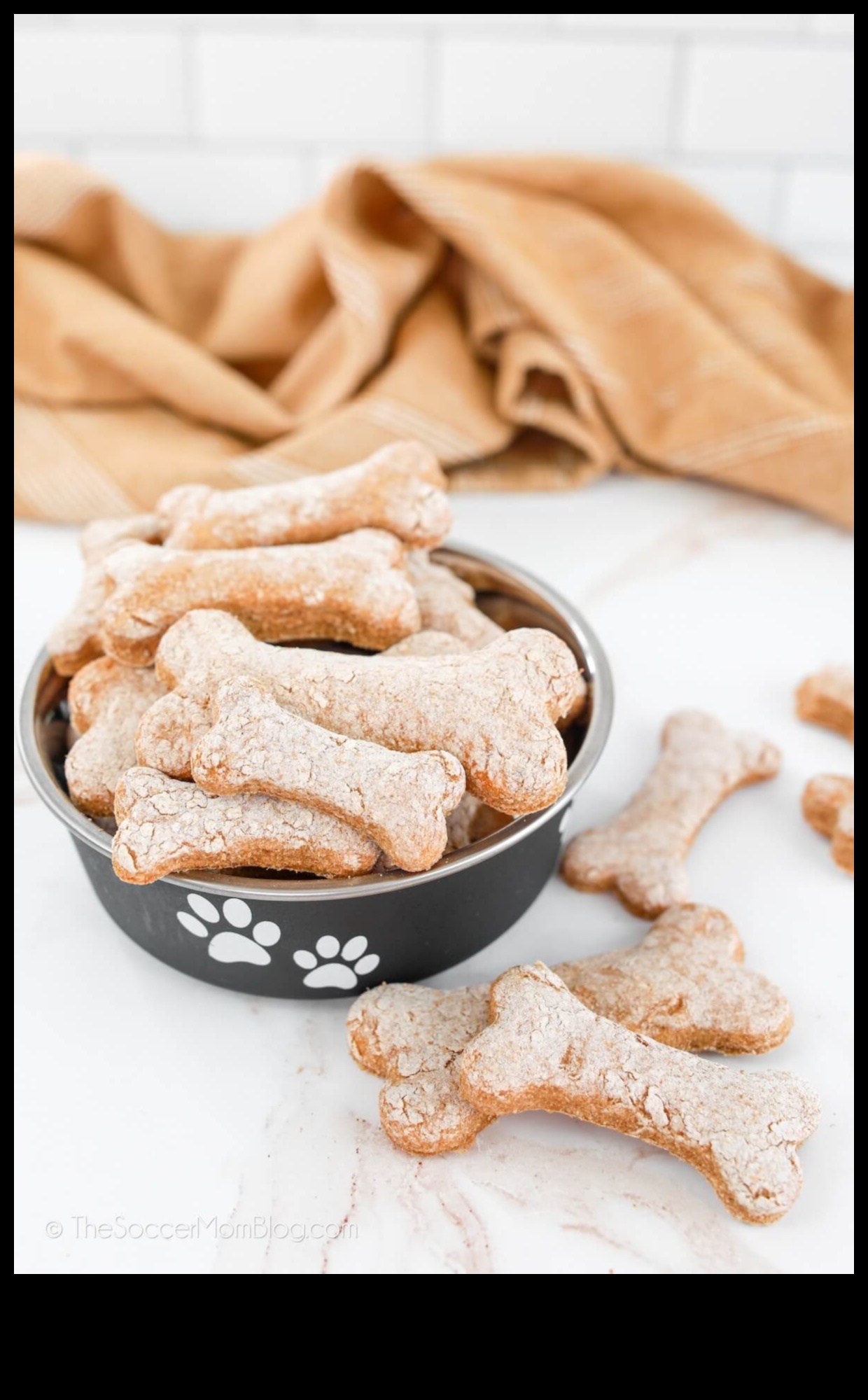 DIY Dog Treats: Healthy and Homemade Snack Recipes