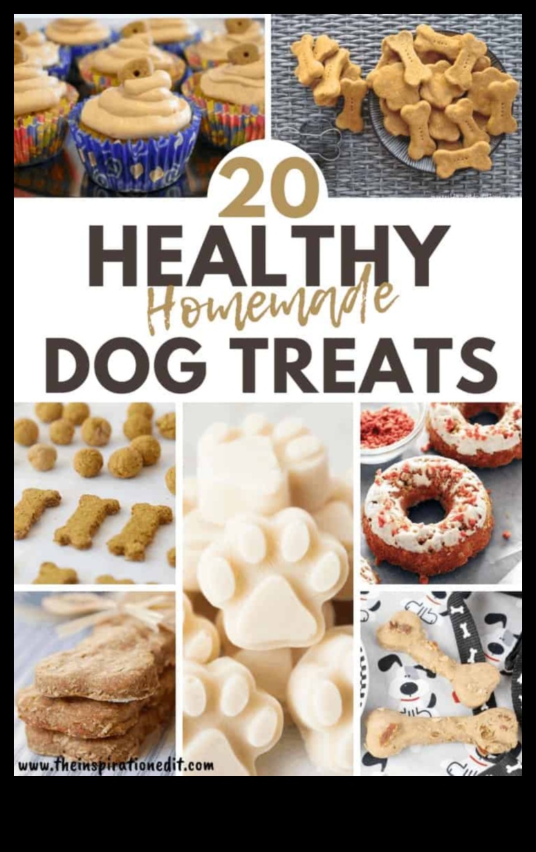 DIY Doggie Delights: Crafting Healthy and Tasty Treats at Home