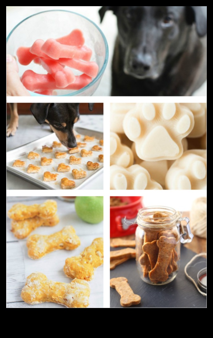 DIY Doggie Delights: Crafting Healthy and Tasty Treats at Home