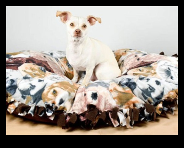 DIY Doggy Beds Creating Comfortable Retreats for Your Pup 3 DIY Doggy Beds: Creating Comfortable Retreats for Your Pup