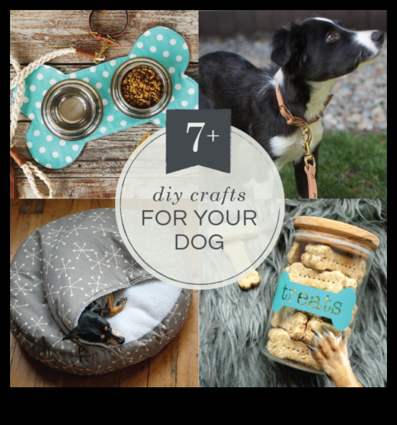 DIY Doggy Decor Crafting Stylish Accessories for Your Pup 1 DIY Doggy Decor: Crafting Stylish Accessories for Your Pup