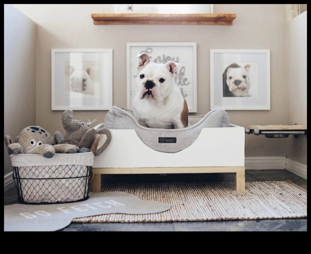 DIY Doggy Decor Creating Stylish Accessories for Your Pup 1