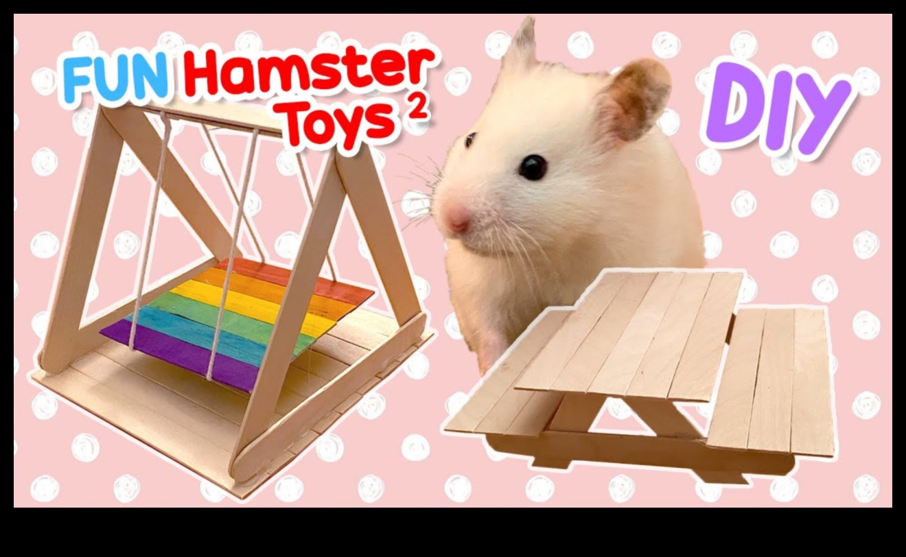 DIY Hamster Toys: Crafting Playful Accessories for Entertainment