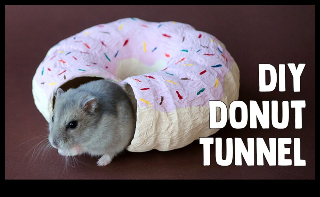 DIY Hamster Toys: Crafting Playful Accessories for Entertainment