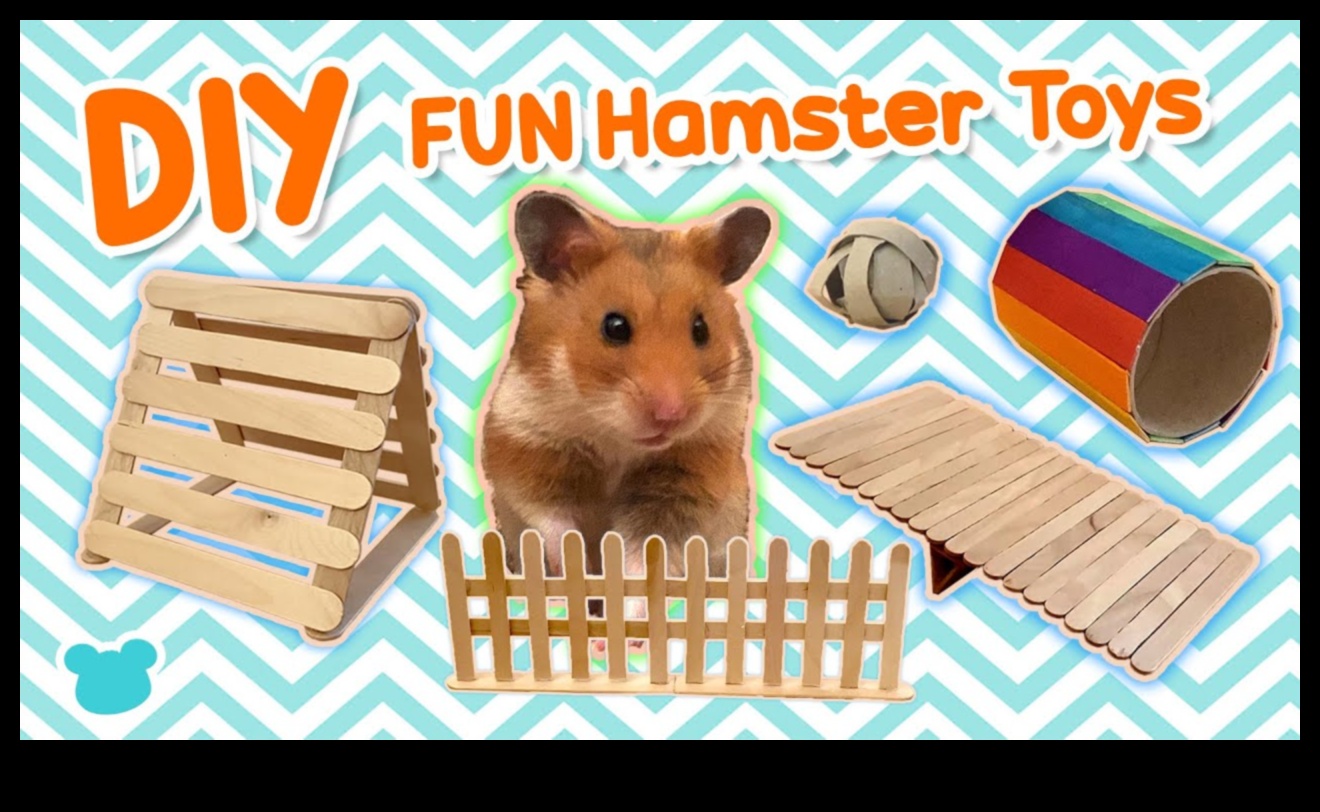 DIY Hamster Toys: Crafting Playful Accessories for Entertainment