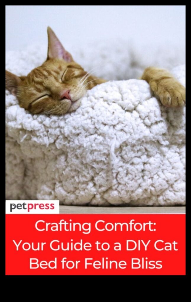 DIY Kitty Beds Crafting Comfortable Retreats for Your Cat 1