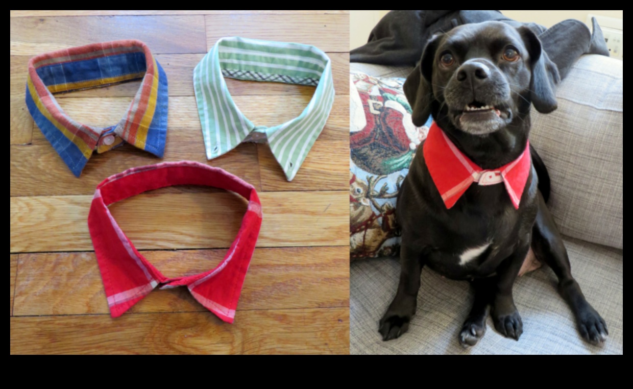 Dapper Doggies: DIY Pet Clothing and Accessories