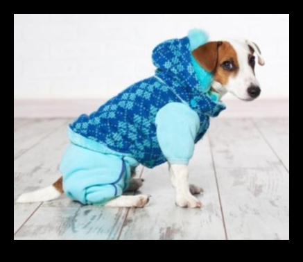 Dapper Doggies: DIY Pet Clothing and Accessories