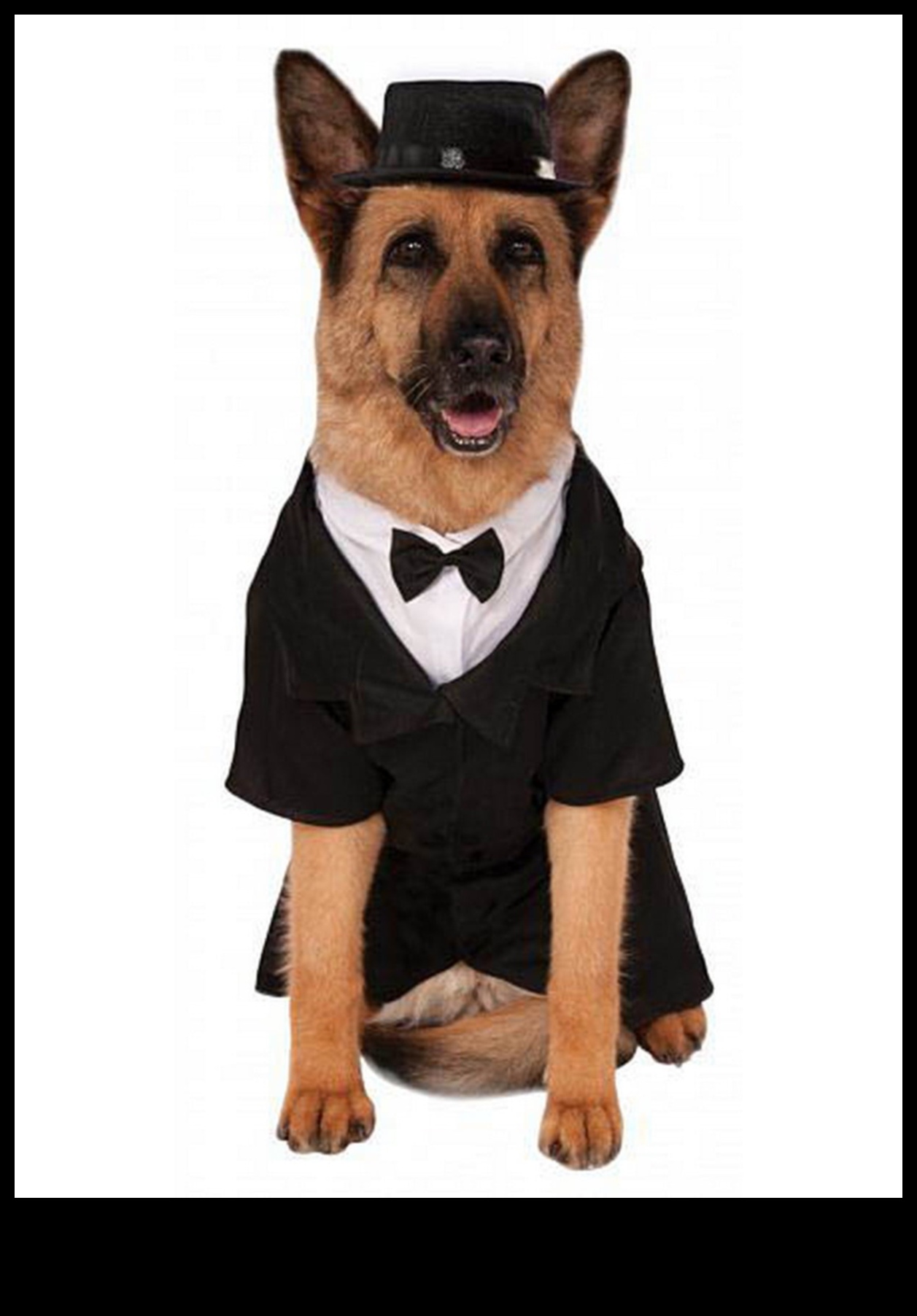 Dapper Doggies: DIY Pet Clothing and Accessories