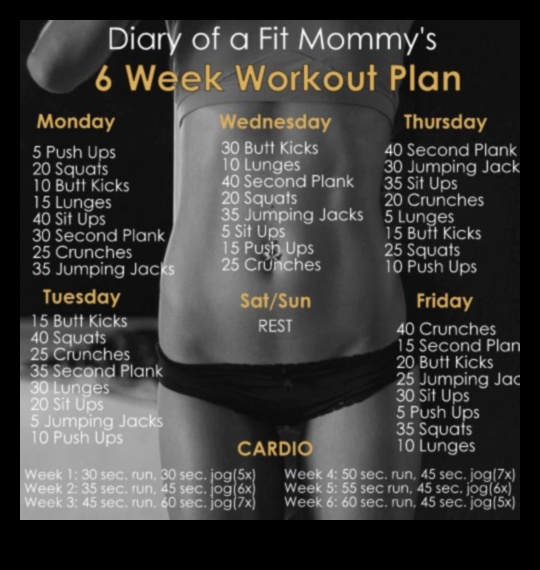 Defined Abs Diary A 6-Week Plan to Get Your Dream Core 1