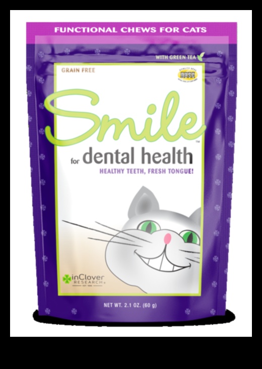 Dental Health for Cats: Tips for a Happy and Healthy Smile