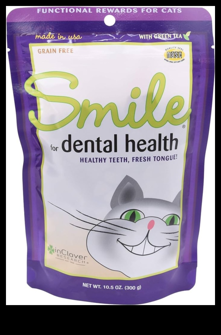 Dental Health for Cats: Tips for a Happy and Healthy Smile