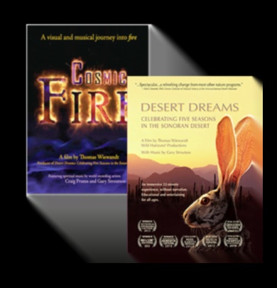 Desert Dreaming: Heat Up Your Workout with Outdoor Challenges