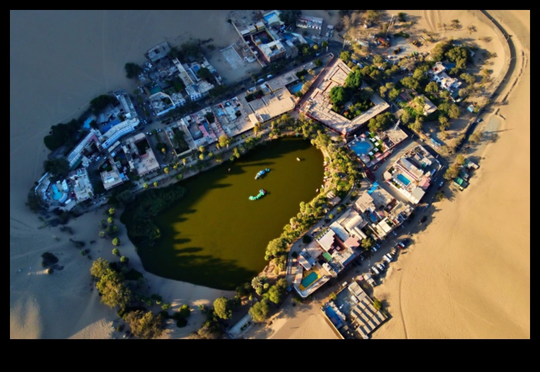 Desert Oasis: Outdoor Exercises Amidst Arid Beauty