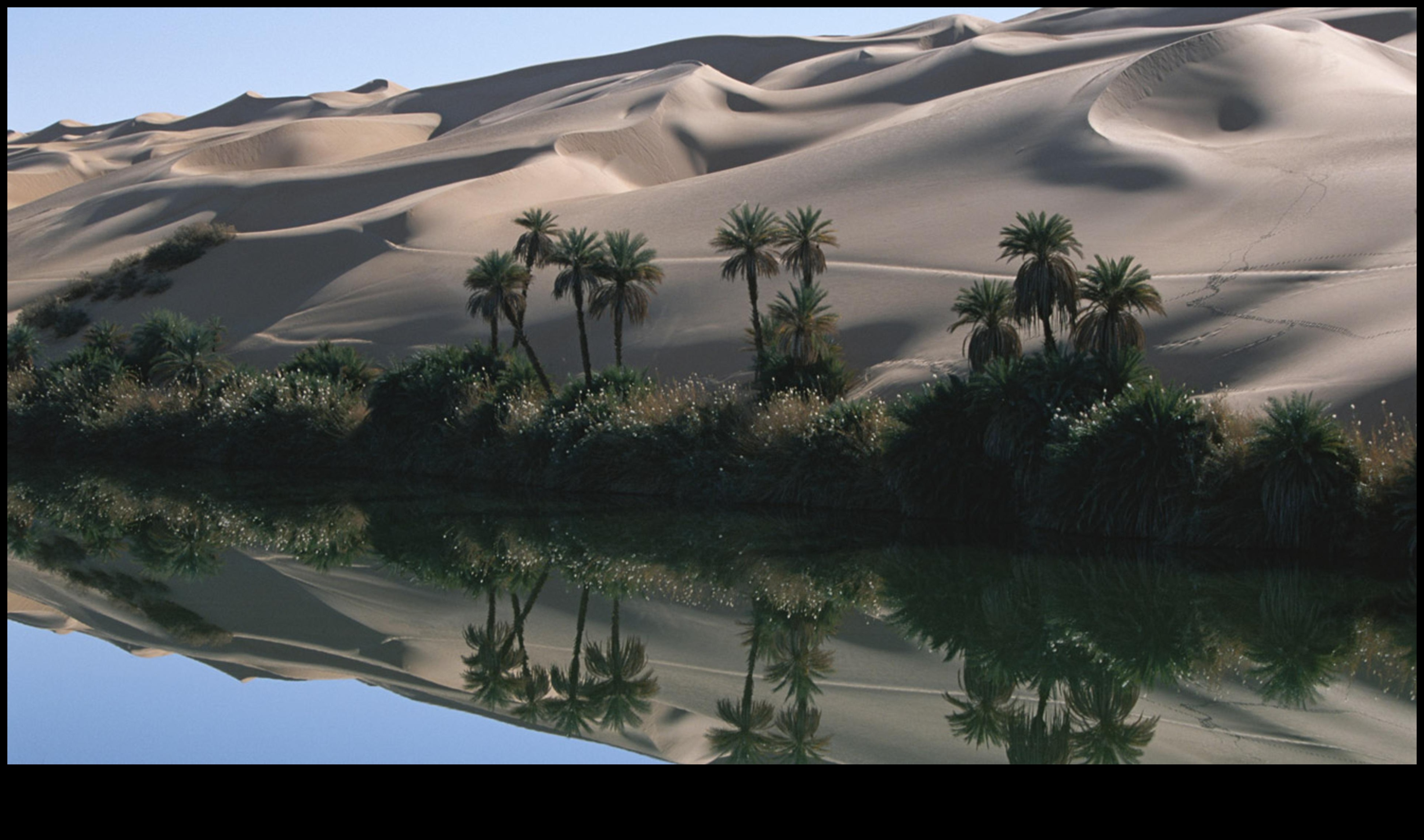 Desert Oasis: Outdoor Exercises Amidst Arid Beauty