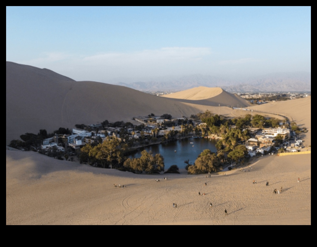 Desert Oasis: Outdoor Exercises Amidst Arid Beauty
