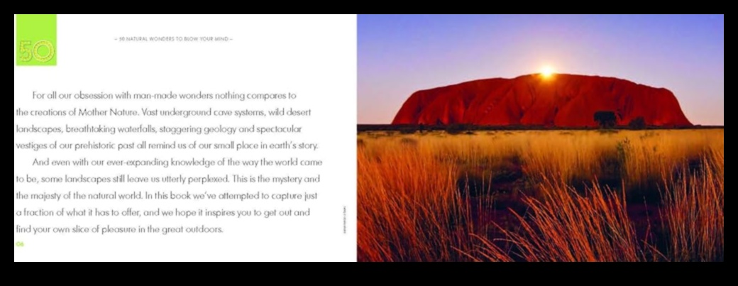 Dime Discoveries: Budget-Friendly Wonders Unveiled